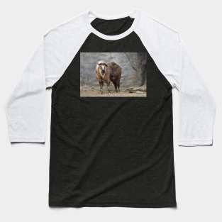 Takin Baseball T-Shirt